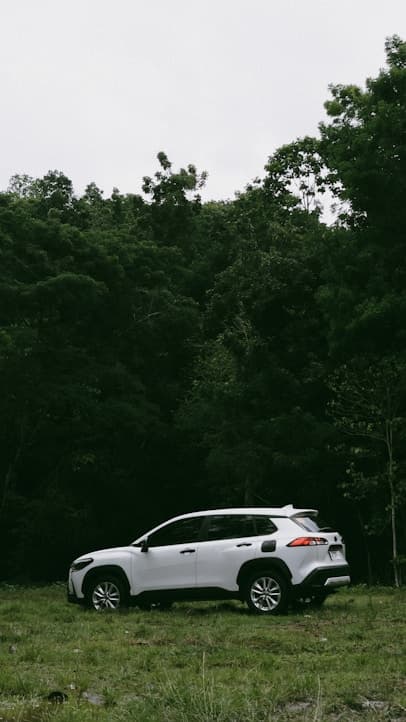 DWTC Parking Guide 2025 – Dubai World Trade Centre Visitor Tips